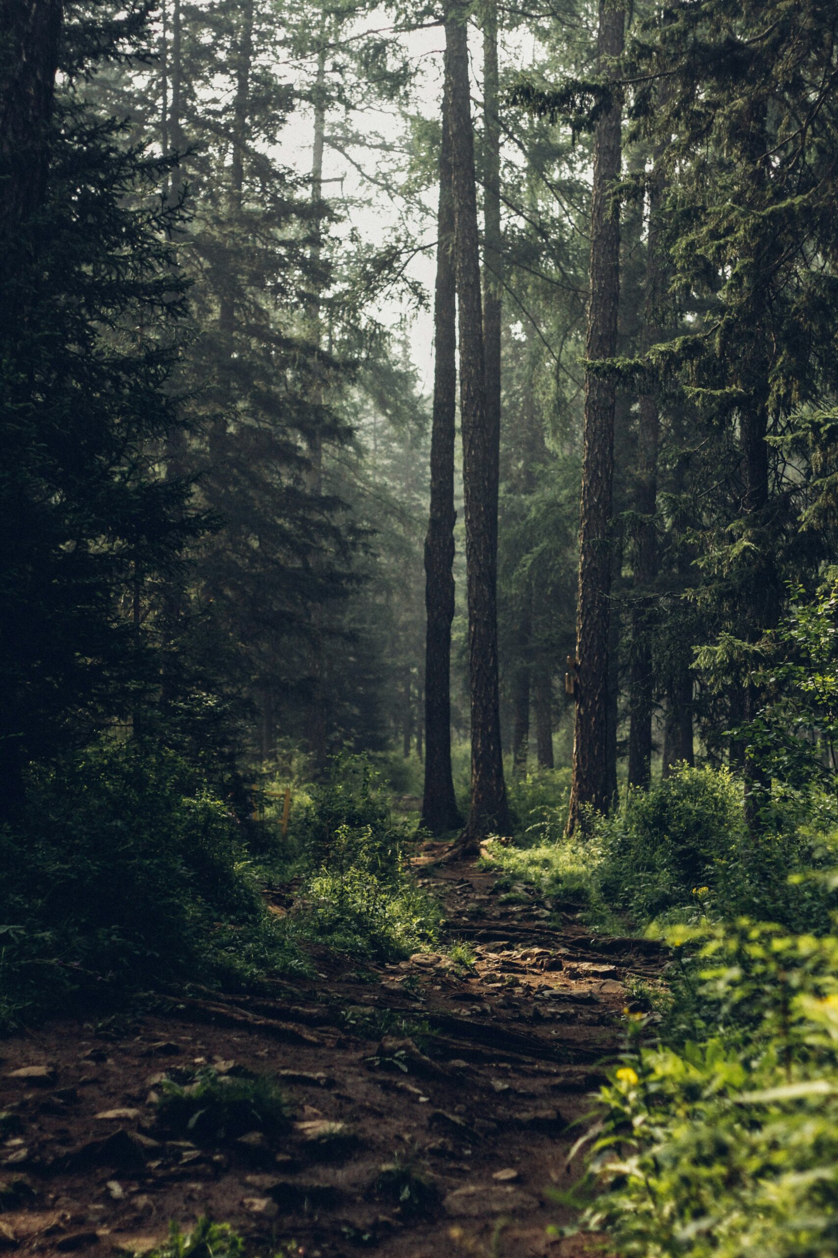 degleex-ganzorig-wQImoykAwGs-unsplash